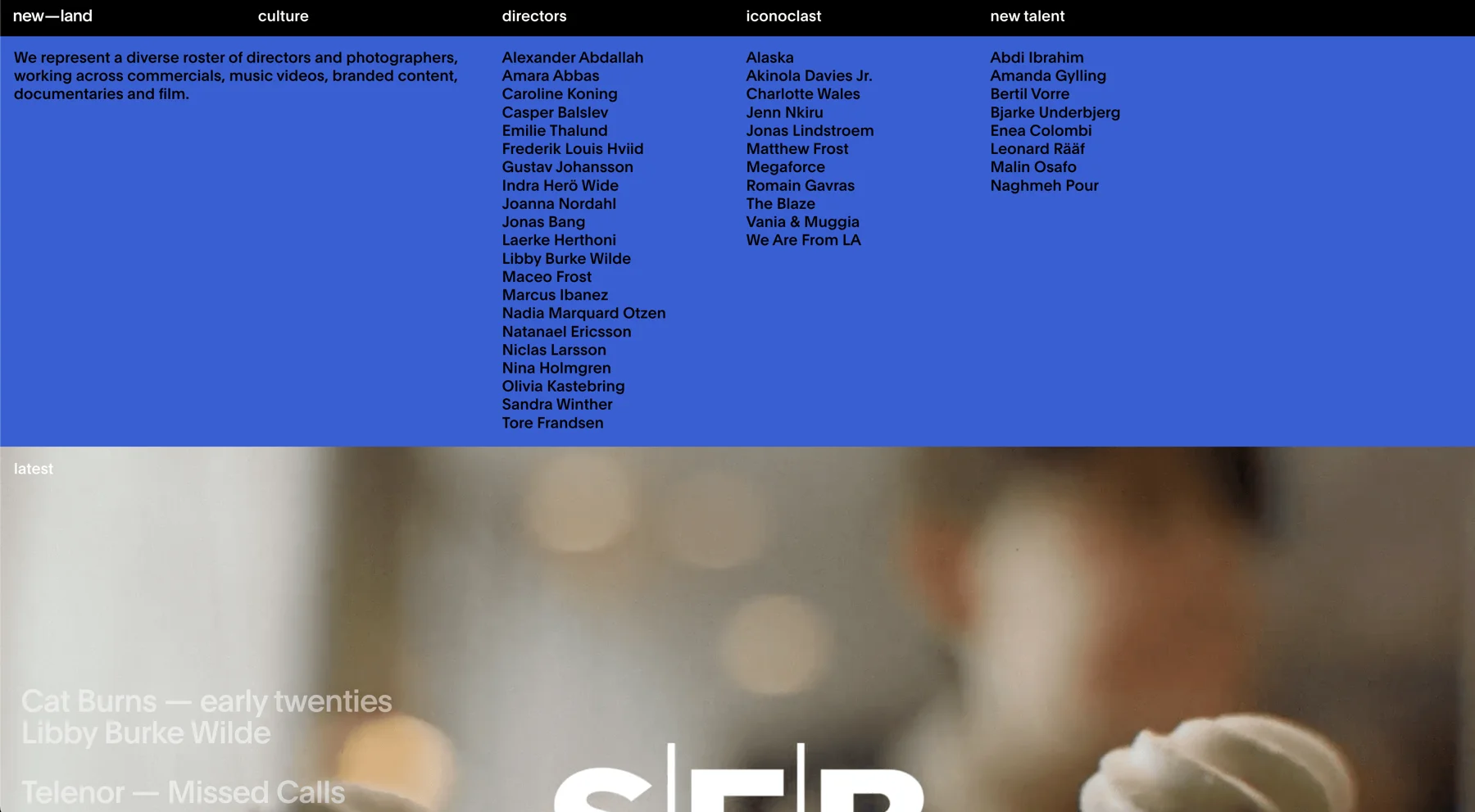Competitor site: a blue directory of directors
