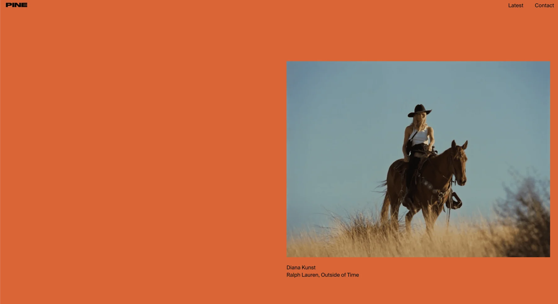 Competitor site: orange page with one photo